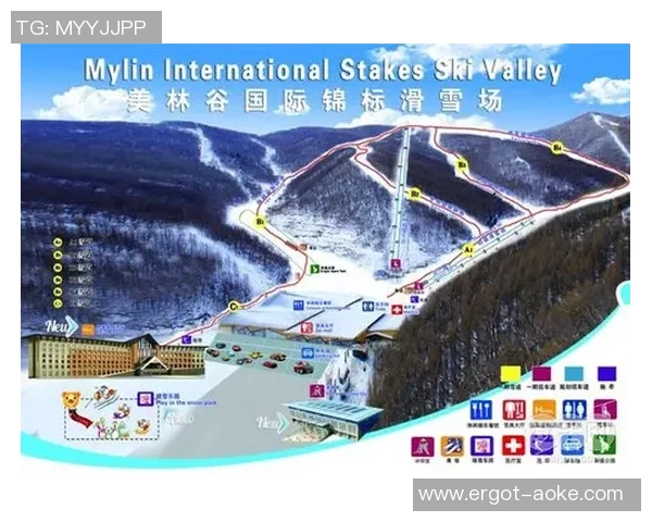 滑雪休假区验票体系，世界滑雪场休假区票务体系，滑雪场检票体系引荐